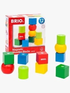 BRIO 30435  Magnetiske Træklodser