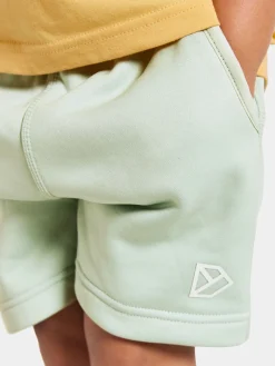 Didriksons Corin Powerstretch Shorts, Pale Mint