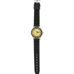 Pokémon Time Teacher Ur, Sort