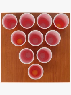 SportMe Pong Spil